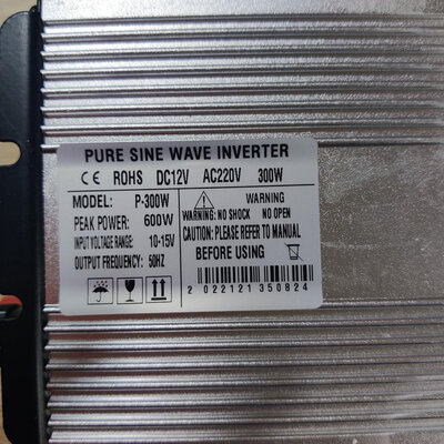 JYINS P-300/600W 12V (pure sine wave)