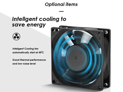 JYINS P-300/600W 12V (pure sine wave)